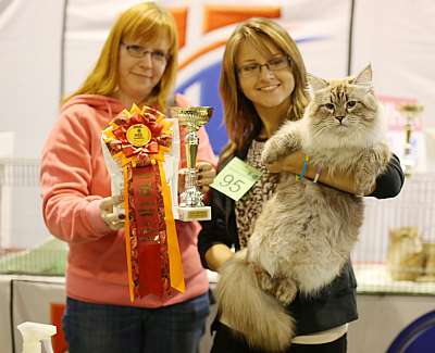 �������� ����� 20-21 �������� 2014 WCF-����� 9-95-169A1121 copy.jpg